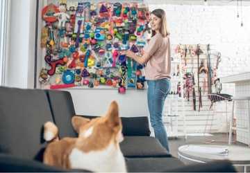 Top 10 Indoor Activities to Keep Your Pets Entertained