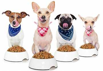 The Pros and Cons of Grain-Free Pet Food