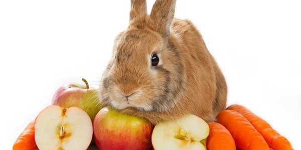 Best Fruits And Veggies For Your Rabbit’s Diet